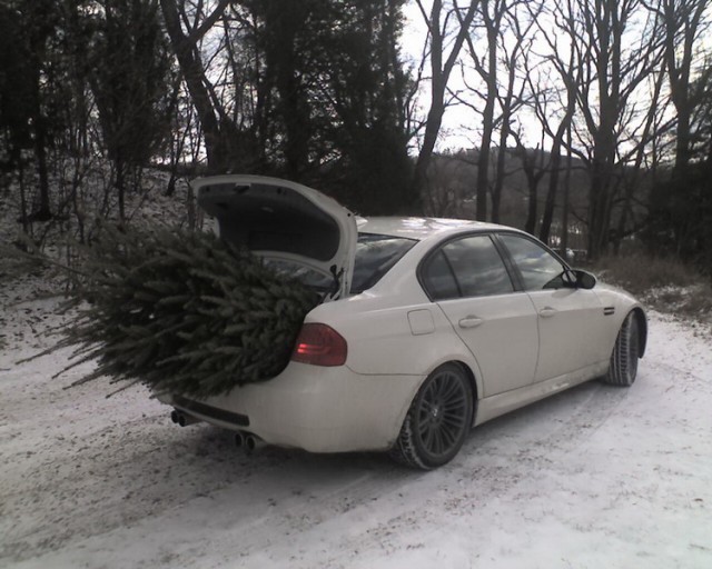 m3_jelka_resize.jpg (163.91 KiB) Pogledano 1521 put m3_jelka_resize.jpg