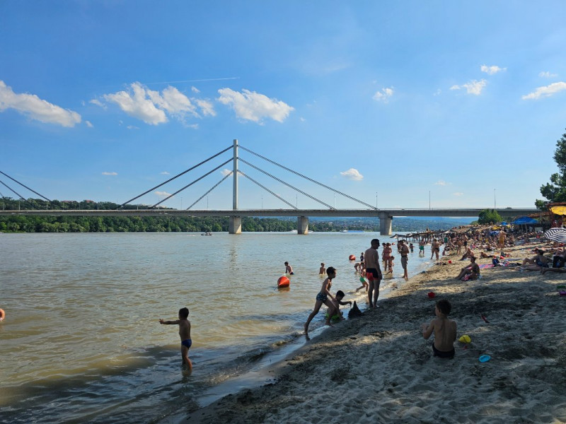 20240608_162429.jpg (225.42 KiB) Pogledano 1139 puta 20240608_162429.jpg