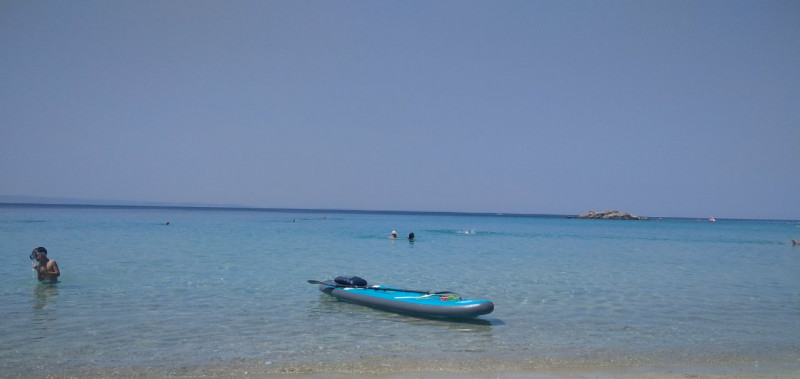 IMG_20240712_114014_1.jpg