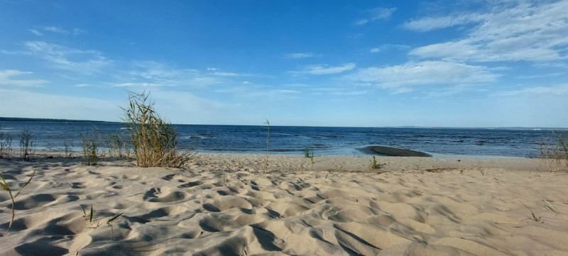 20240821_172407.jpg (139.07 KiB) Pogledano 2653 puta 20240821_172407.jpg