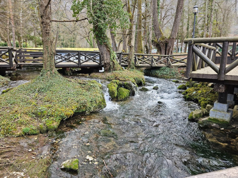 20250308_145018.jpg