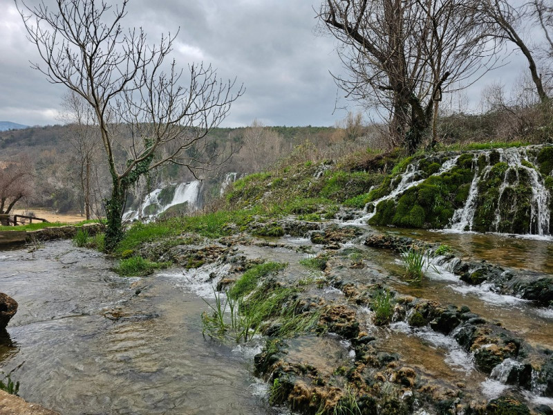 20250310_104001.jpg