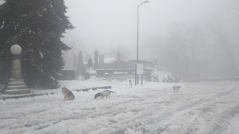 IMG_20260106_130426 (1).jpg