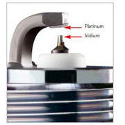 large_Svecica elektrode.jpg