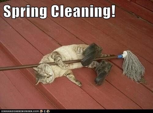 spring-cleaning.jpeg