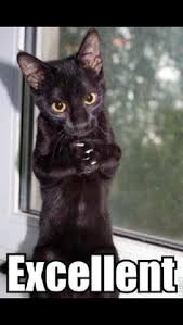 excellent.jpg