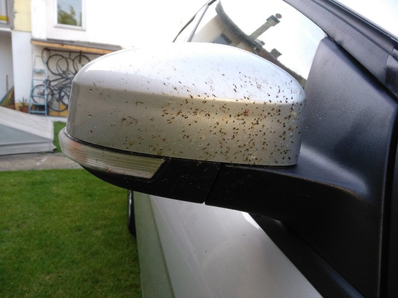 IMG_20180601_185357.jpg (126.05 KiB) Pogledano 1777 puta IMG_20180601_185357.jpg